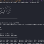 ffuf screenshot - using ffuf to fuzz websites