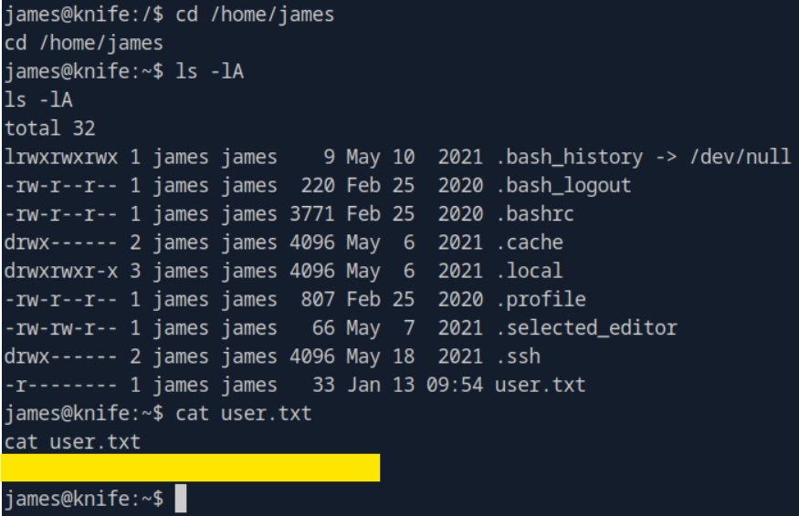 Screenshot of the Knife machine HTB walkthrough - Reading the flag in james home directory