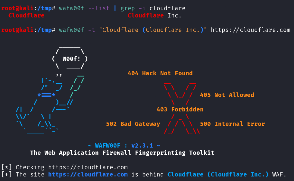 Testing for one specific WAF using wafw00f