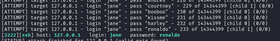 password found by hydra on our test machine
