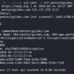 nmap results running a NSE script