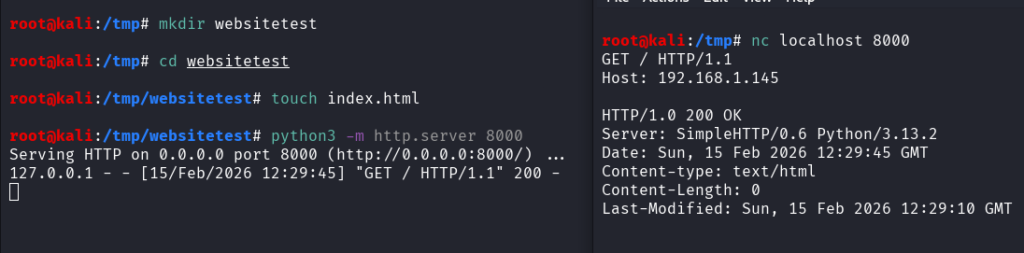 making manual HTTP requests using netcat on linux