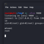nc reverse shell illustration