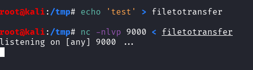 setup of the file transfer from the sender using nc