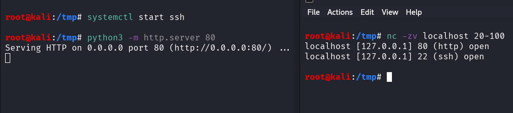 Basic nc port scanning