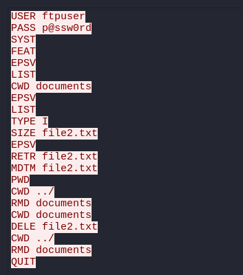 FTP data sent by the client and captured on wireshark